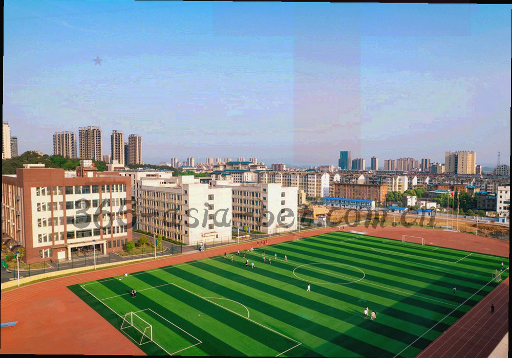 主客场进失球对比的双向条形图，蓝色与橙色分列两侧